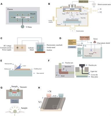 Advances in surface modification of tantalum and porous tantalum for rapid osseointegration: A thematic review